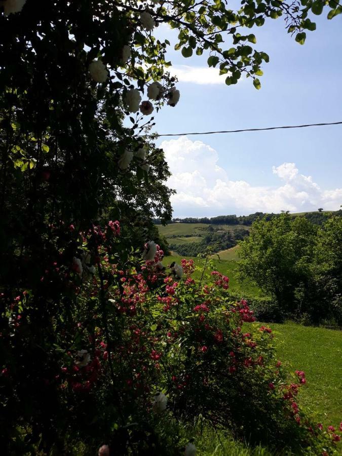 B&B I Canonici Урбино Екстериор снимка